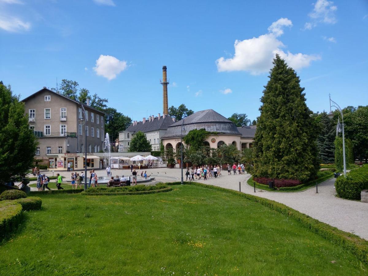 Apartament Zdrojowa 45 *